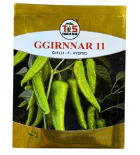 Chilli / Hot Pepper GGirnnar-11